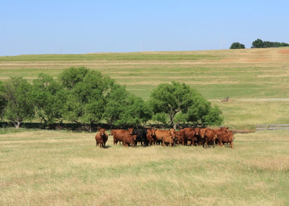 Oklahoma: Texas